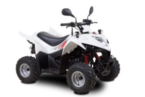 50-maxxer kymco